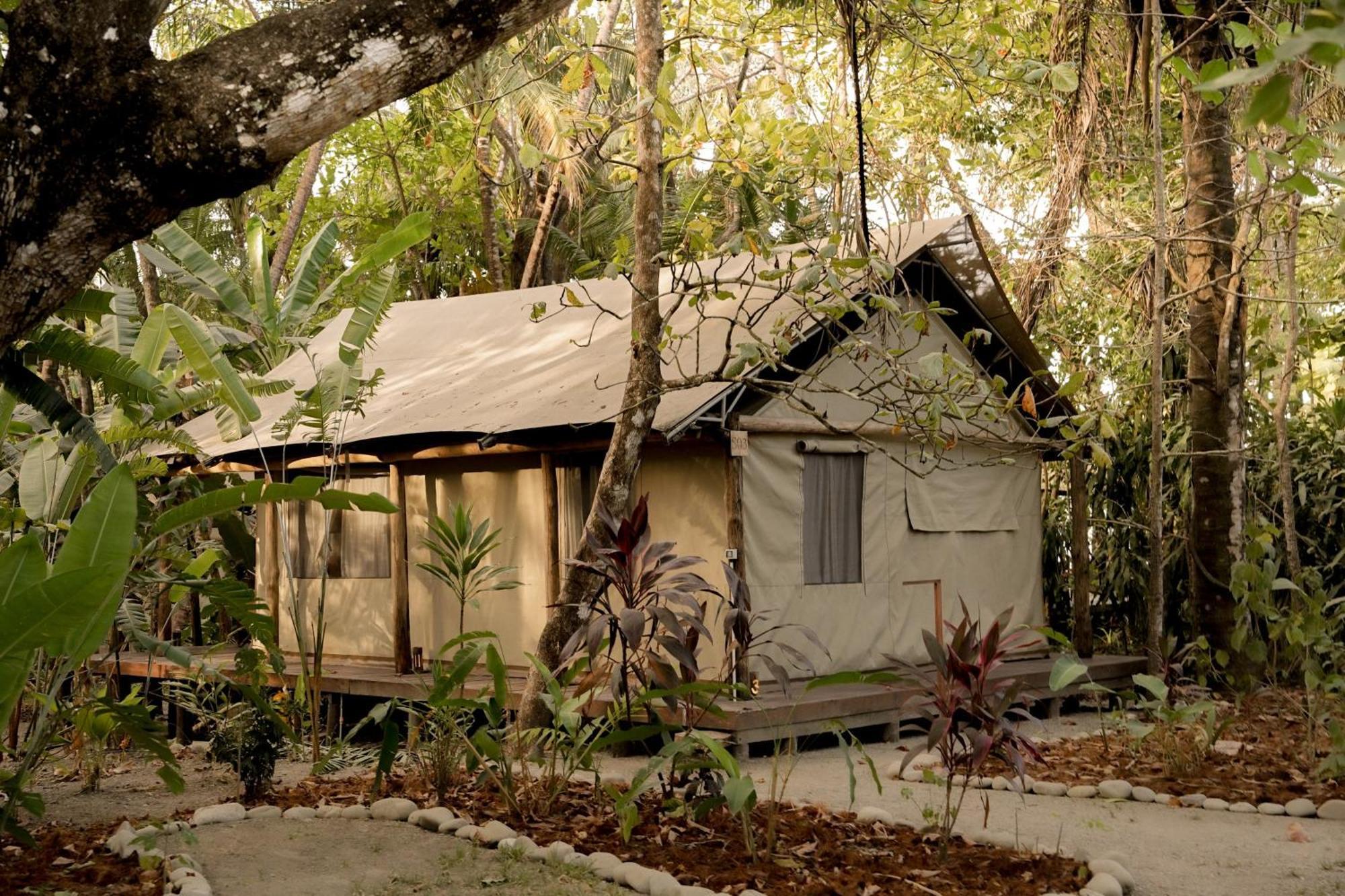 Zunya Bed & Breakfast Malpais Bagian luar foto